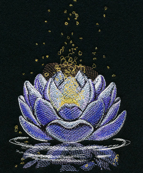 Lotus Nénuphar